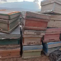 تعدادی کندوی عسل