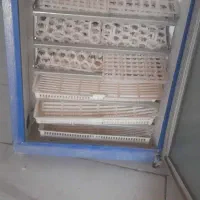 دستگاه  جوجه  کشی مرغ  وبلدرچین