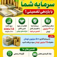 جذب سرمایه گذار با سود تضمینی