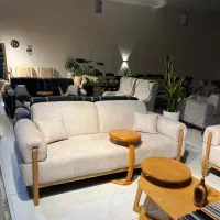 مدل مانلی شرکتی