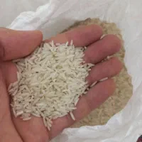 ۳۵۰ کیلو برنج شیرودی درجه یک|خوردنی و آشامیدنی|تالش, هشتپر|دیوار