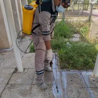 سم پاشی ،ساس ،سوسک ،موریانه