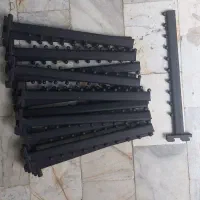 رگال تیله ای