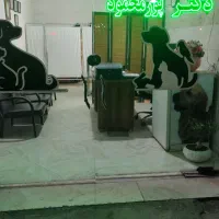 کلینیک دامپزشکی دکتر پورمحمود