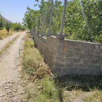 فروش باغ ۱۰۰۰ متری سی سخت|فروش زمین و ملک کلنگی|یاسوج, |دیوار