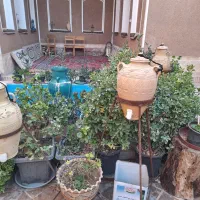هاستل  سویت بومگردی
