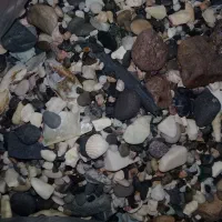 لوازم آکواریوم پمپ هوا بخاری تزئینات همه باهم|ماهی|مشهد, شهید رضوی|دیوار