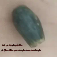 مهره های اصل