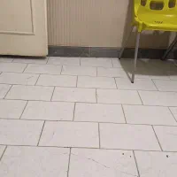 همخونه