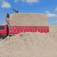 کاه نیشکرباگاس دامی