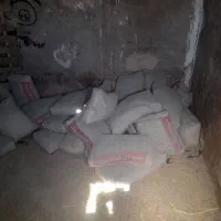 سیمان شاهرود