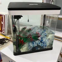 آکواریوم سالم و در حد نو