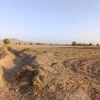 فروش یک شبانه روز آب و زمین و پسته نهبندان|فروش دفتر صنعتی، کشاورزی، تجاری|نهبندان, |دیوار