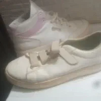 بوت مجلسی|کیف، کفش، کمربند|کرمان, |دیوار