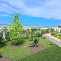 آبیاری قطره ای اتوماتیک|خدمات باغبانی و درختکاری|رشت, فرودگاه سردار جنگل رشت|دیوار