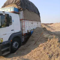 باگاس نیشکر