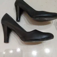 کفشهای مجلسی و ورزشی زنانه|کیف، کفش، کمربند|شیراز, دکتر حسابی|دیوار