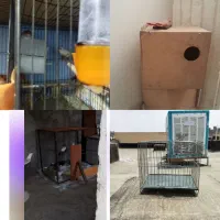 قفس و پرنده و لانه