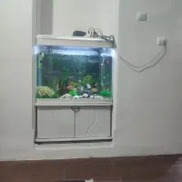 اکواریوم95/150