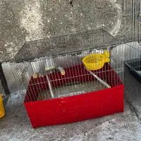 قفس|لوازم جانبی حیوانات|مشکین‌دشت, |دیوار