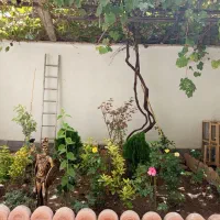 اجاره آپارتمان تیموری