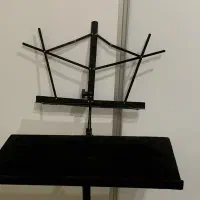 سنتور طالحی راد