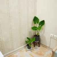 گل بابا ادم