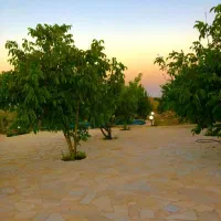 فروش یا معاوضه باغ با ملک و خودرو|فروش خانه و ویلا|شیراز, میرزاکوچک خان|دیوار