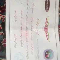 کبوتر سبز نر سبز زات دار....