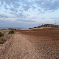 زمین-کشاورزی-3-هکتار-تک-برگ-سند