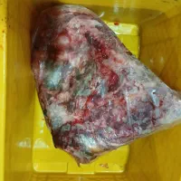 گوشت جهت مصرف حیوانی