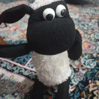 بره ناقلا