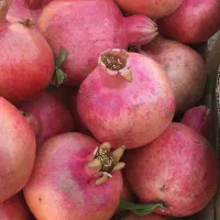 غرفه دار هستیم در استان ااردبیل