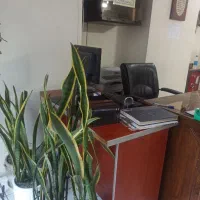 استخدام نیروی خدماتی
