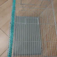 قفس پرنده|لوازم جانبی حیوانات|زنجان, |دیوار