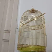 فروش قفس