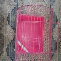 .قفس|لوازم جانبی حیوانات|تهران, شهرک چیتگر|دیوار