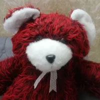 خرس بزرگ ولنتاین نو نو|اسباب‌بازی بچه|ری, شهادت|دیوار