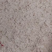 برنج طارم هاشمی امساله