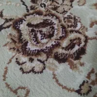 مدارک گمشده