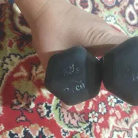 ۲ عدد دنبل ۲ کیلویی|تجهیزات ورزشی|بیلوار, |دیوار