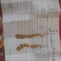 گوشواره طلا. 200 بالای تابلو