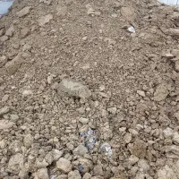 کود حیوانی گاو|خدمات باغبانی و درختکاری|درمیان, |دیوار