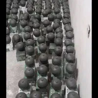 شارژ گوی فوری