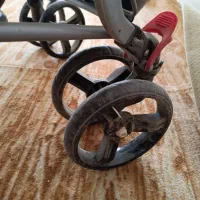 کالسکه دلیجان|کالسکه و لوازم جانبی|پیشوا, |دیوار