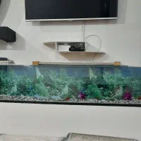 آکواریوم با وسایل کامل