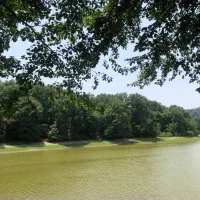 علف زنی با دستگاه از نوشهر تا سیسنگان ونوش چالوس