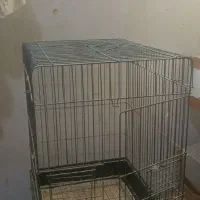 قفس  و کیف پرنده