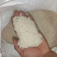 برنج فجر سوزنی درجه یک|خوردنی و آشامیدنی|گرگان, |دیوار