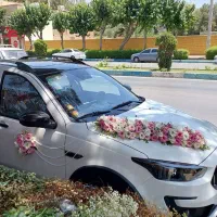 ماشین عروس ودسته گل عروس|گل و گیاه طبیعی|اصفهان, شاهزید|دیوار